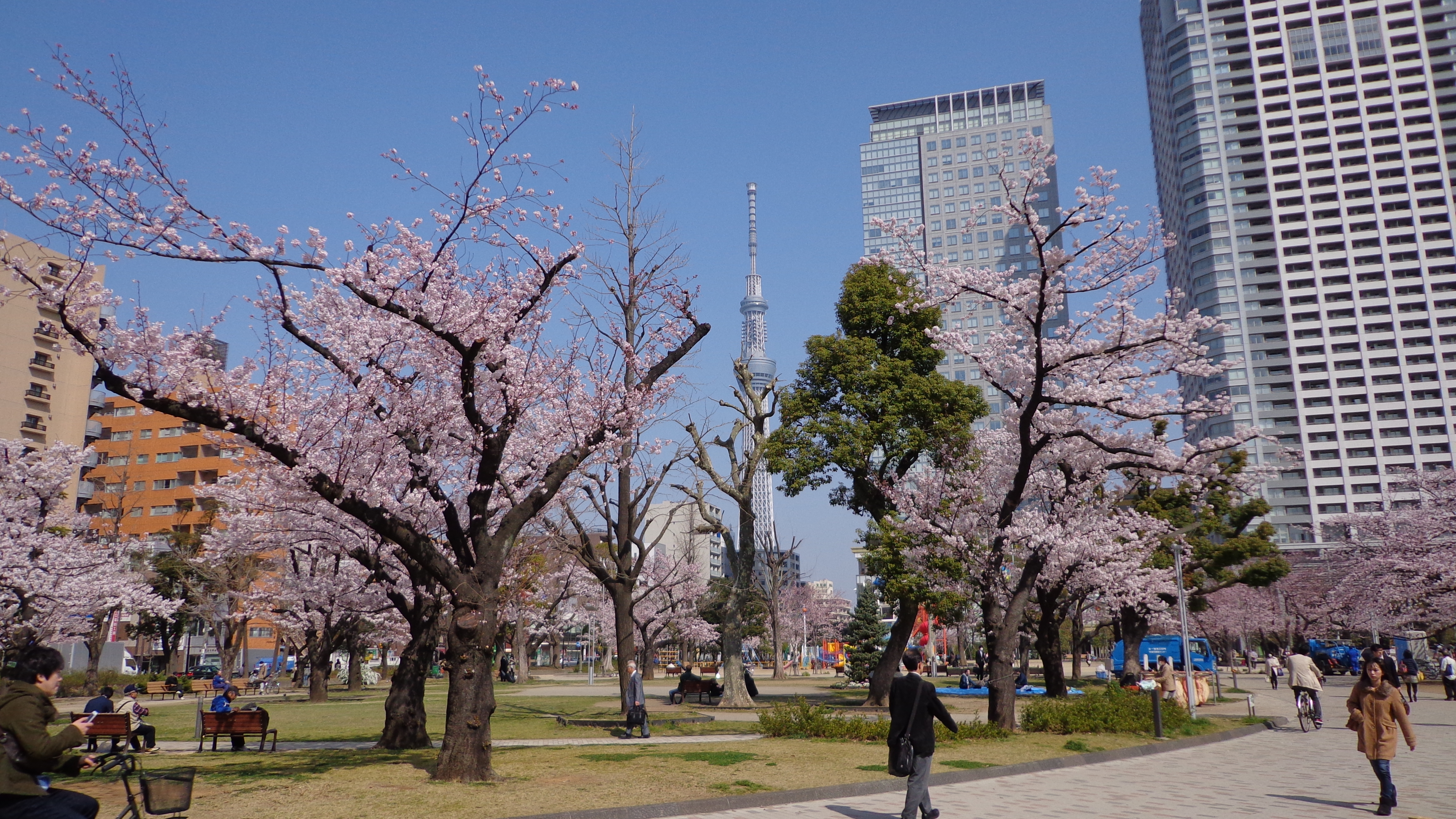 Kinshi Park
