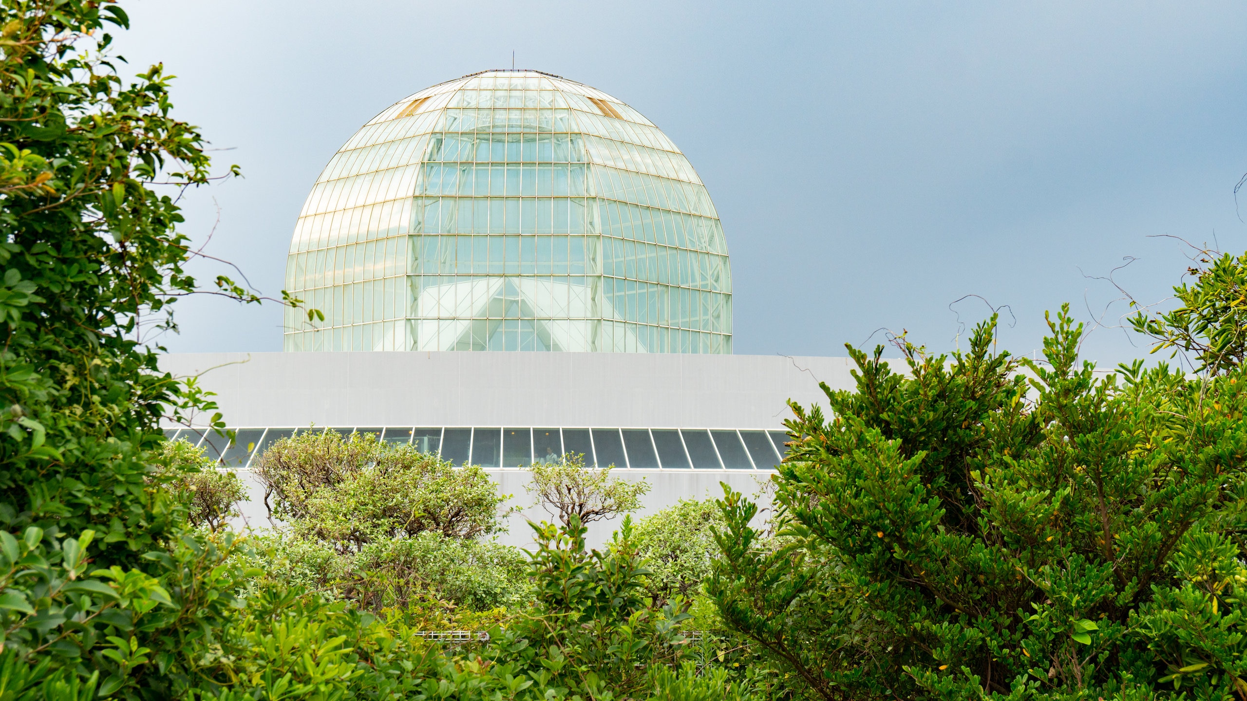 Tokyo Sea Life Park