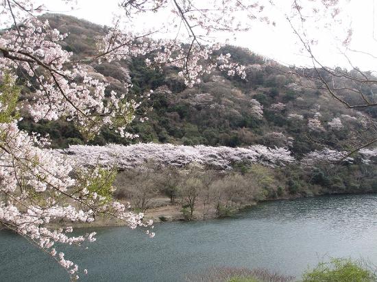 Yuzuruha Dam Park