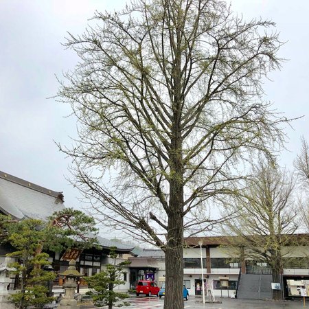 Ryutoku-ji Temple
