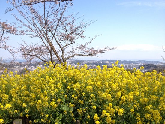 Kinugasayama Park