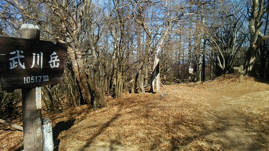 Mt. Takegawa