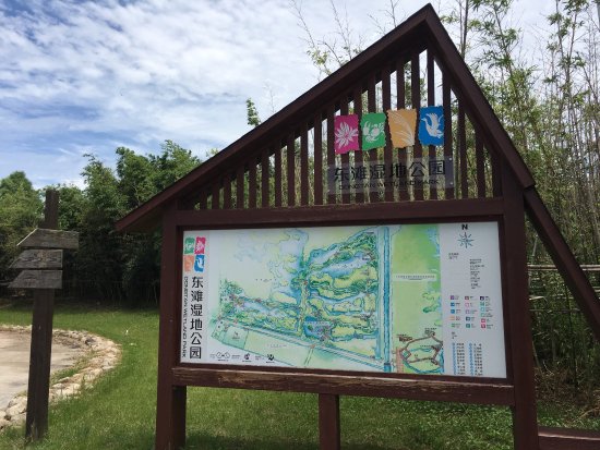 Chongming Dongtan Birds National Nature Reserve