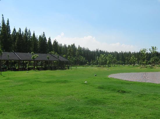 Outdoor Pictures 1