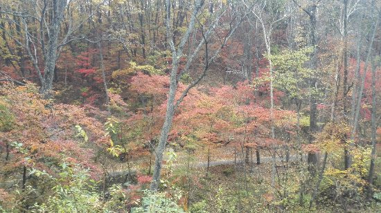 Baijiyao Forest Park
