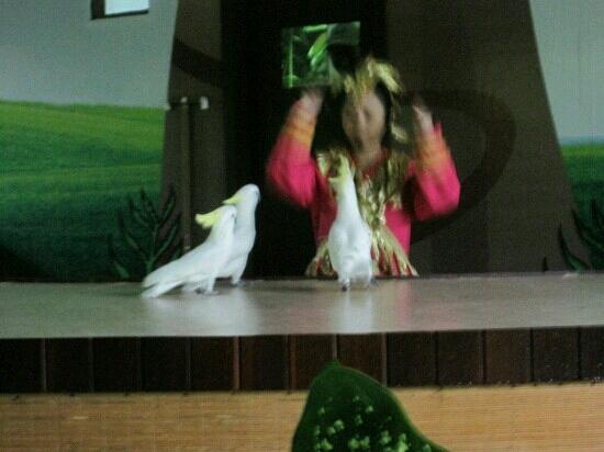 Lvshun Birds Park