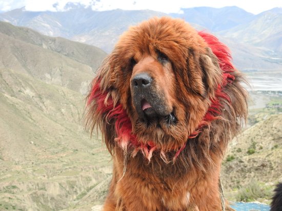 Ganbala Mountain