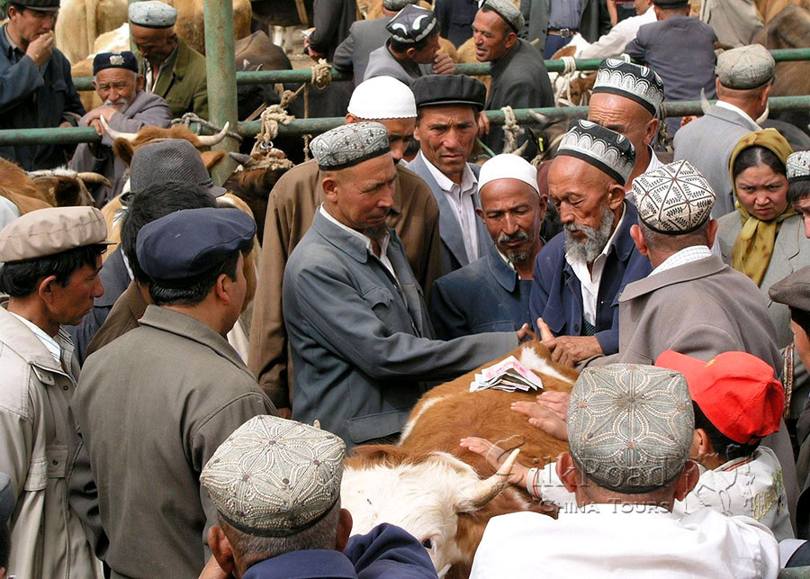 Kashgar Live Stock Market