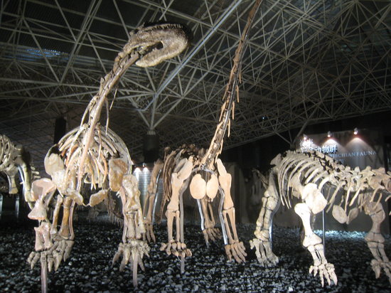 Lufeng Dinosaur Valley