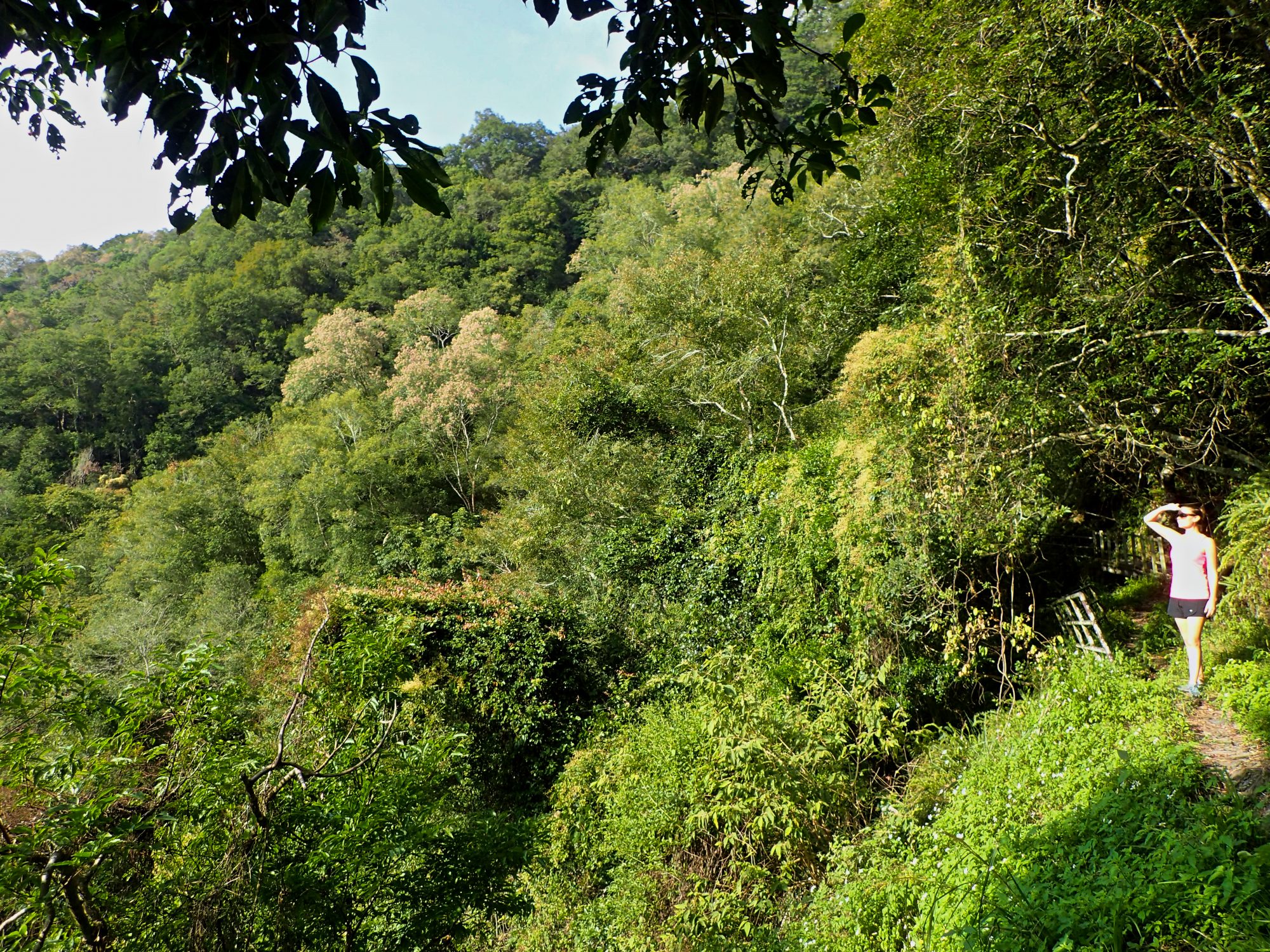 Xianjiyan Trail