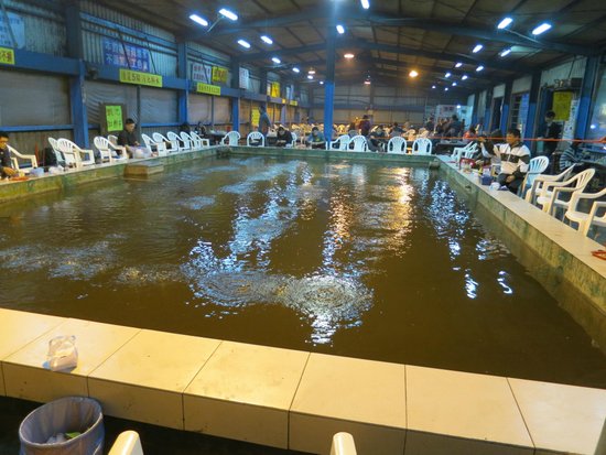 Pacific Fishing Place