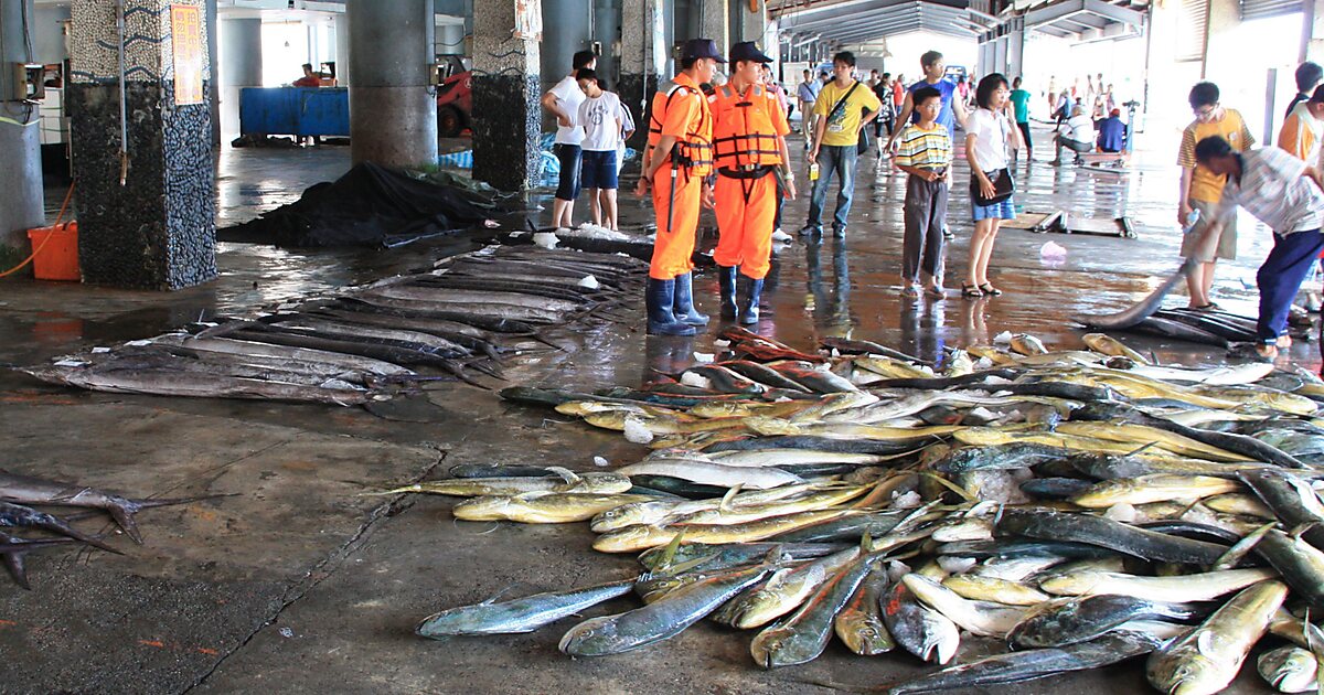 Xingang Fishing Market
