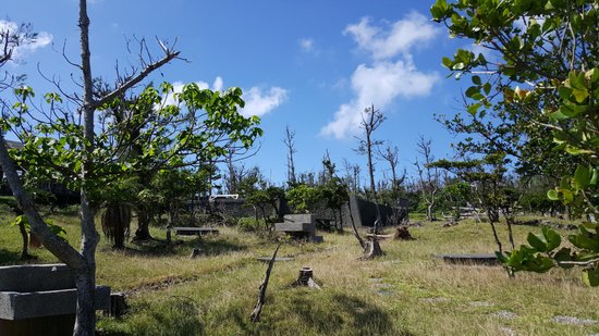 Lvdao Camping Area