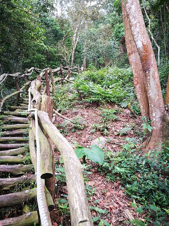Dakeng No. 6 Healthy Trail