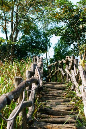 Dakeng No. 4 Trail