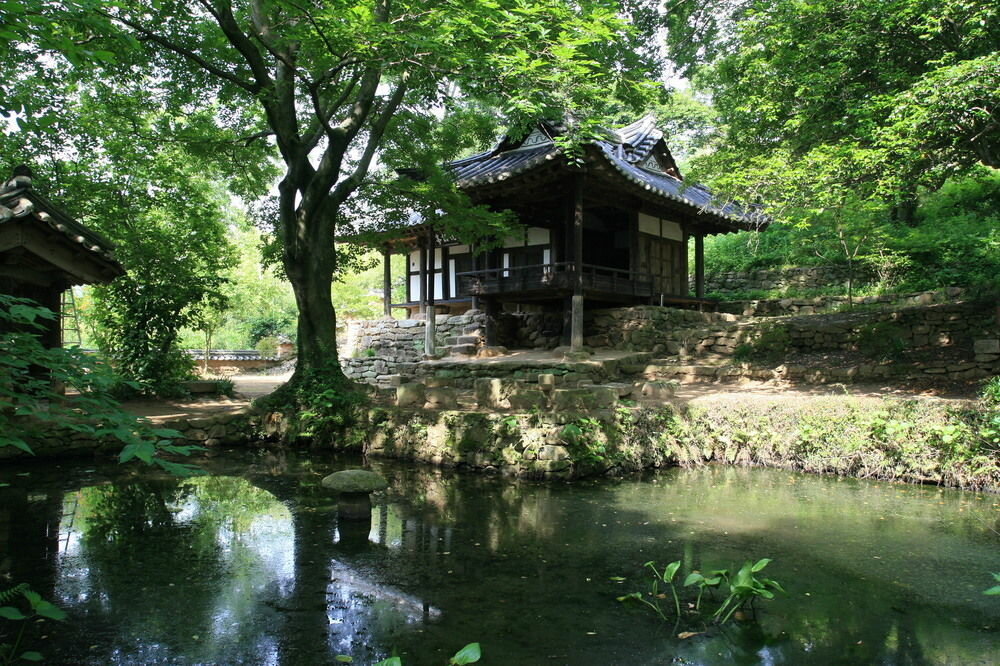 Jinyi Park