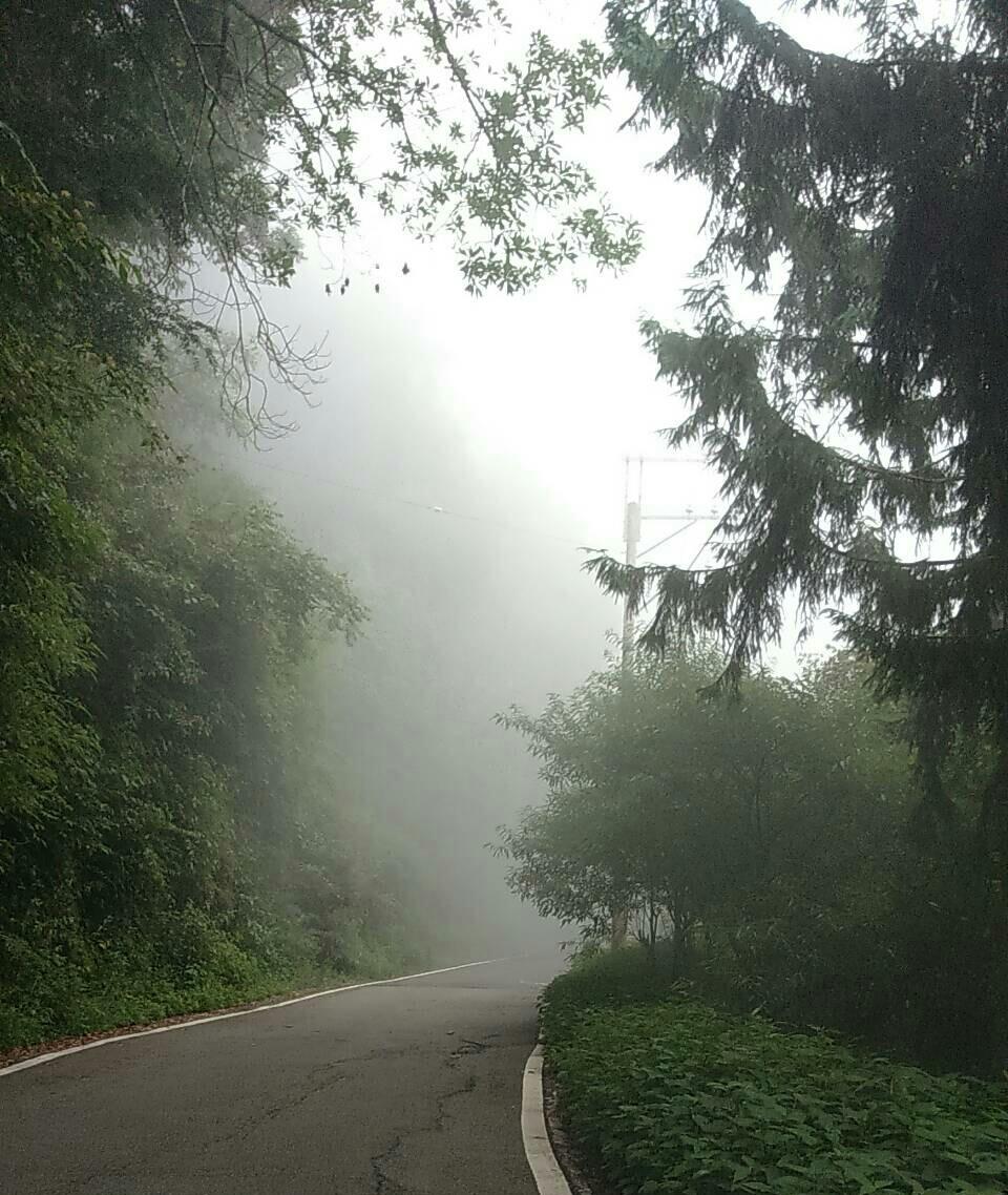 Dasyue Mountain Forest Recreation Area