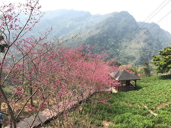 Muxinquan Leisure Farm