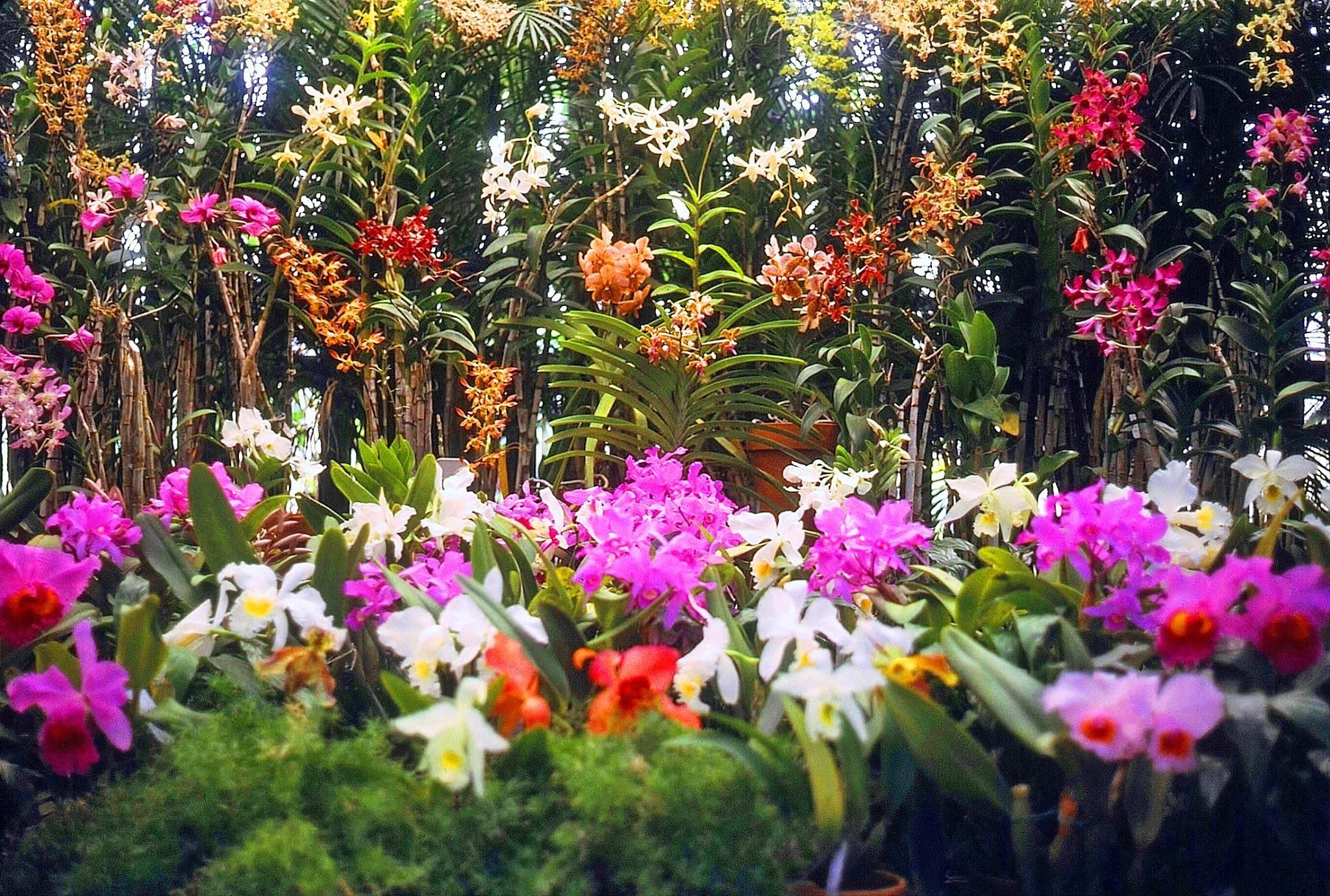 Outdoor Pictures 1