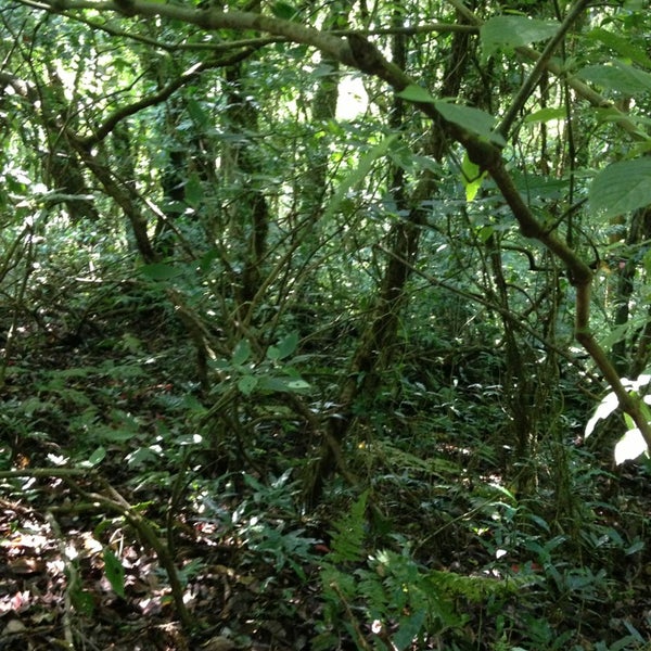 Kew Mae Pan