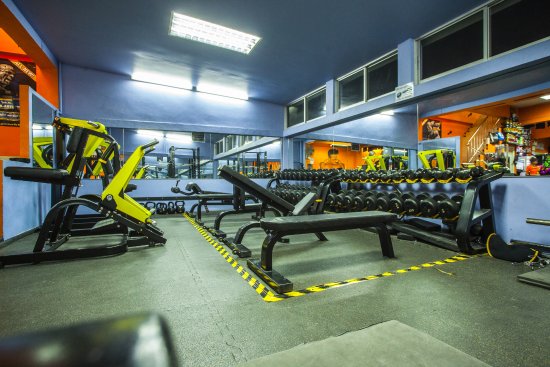Bear Gym and Supplements Pattaya