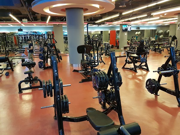 Fitness 7