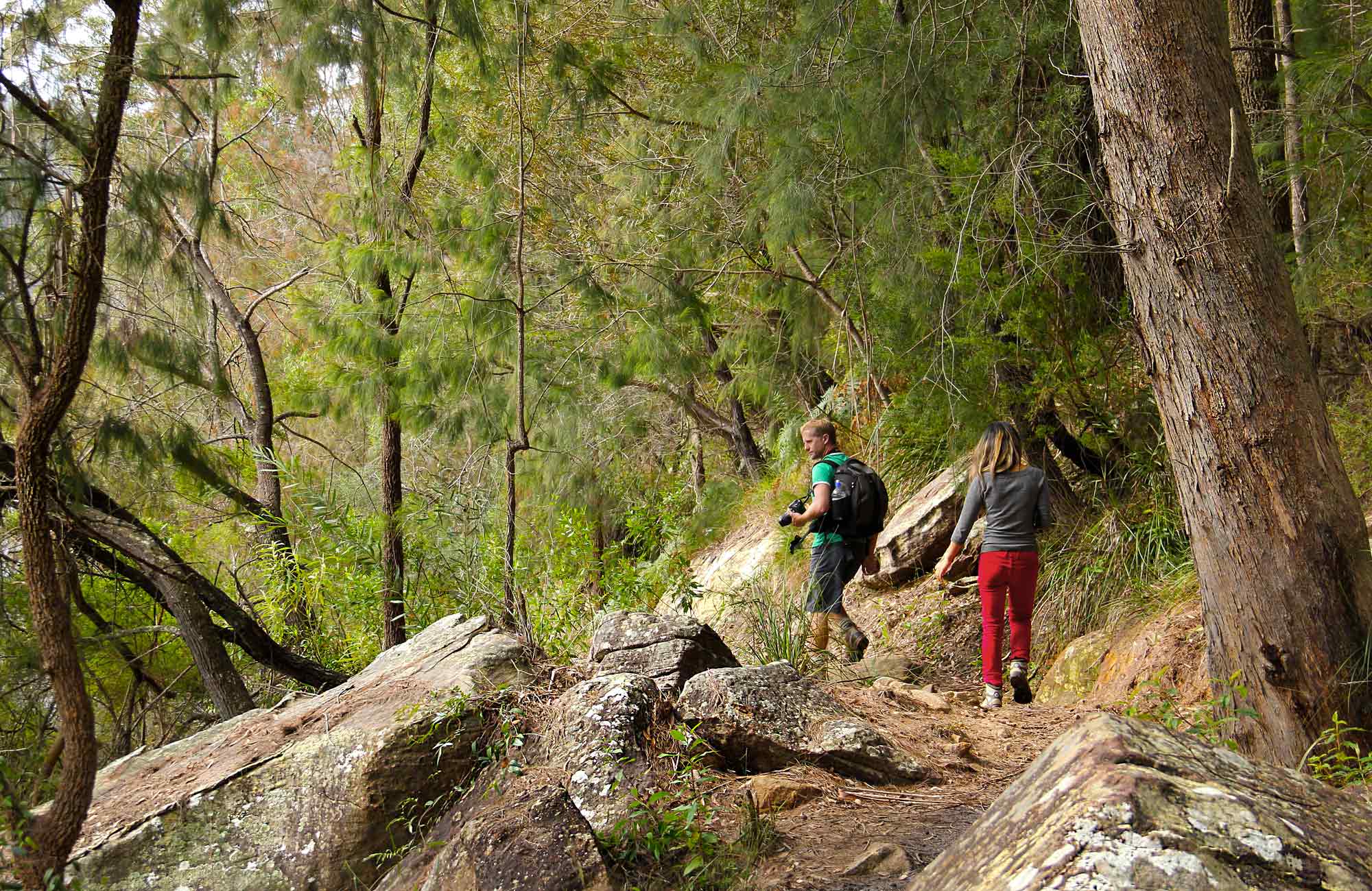 Silin walking trail