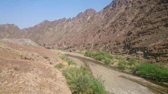 Wadi Al Qahfi