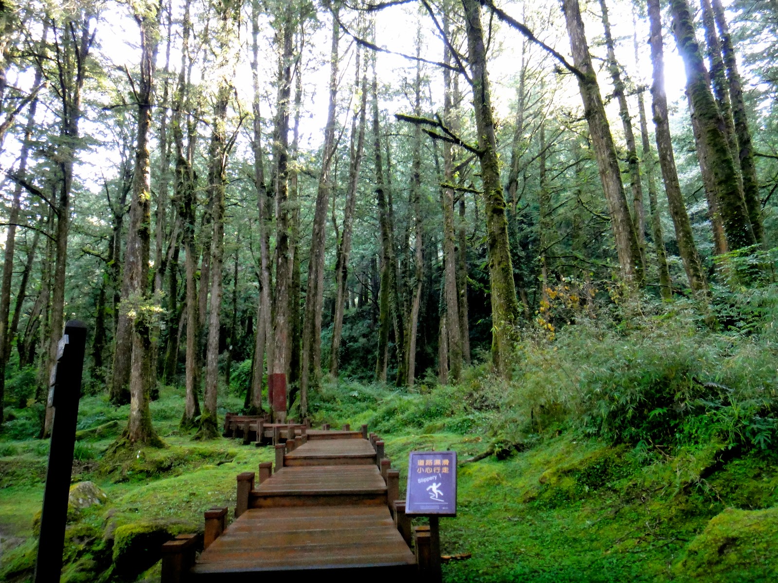 Chinan Forest Recreation Area