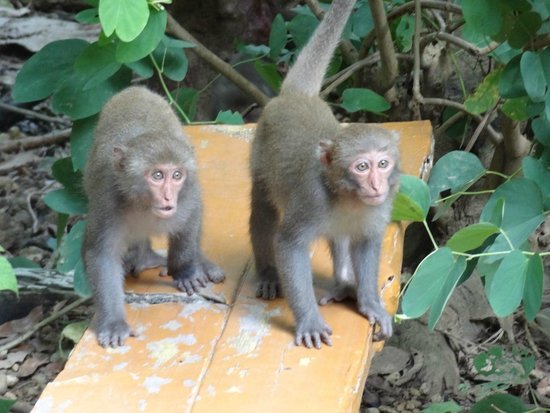Shoushan Guojia Natural Park
