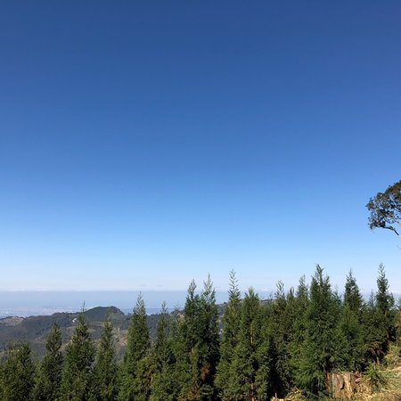 Luoshan Forest Trail