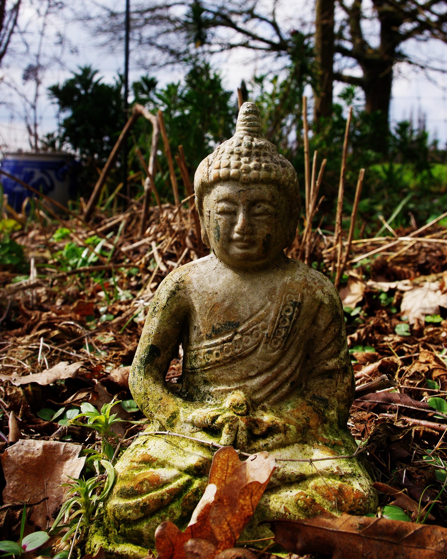 Buddha World Natural Retreat