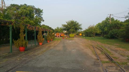 Suantou Sugar Factory