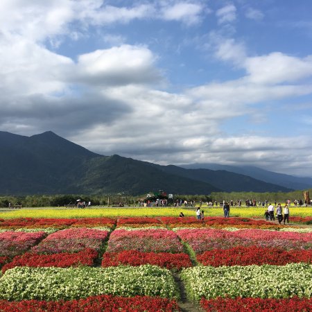 Danongdafu Forest Park