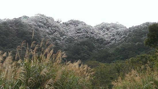 Er Ba Zi Botanic Garden