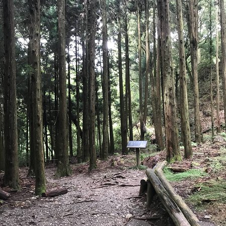 Guanwu Forest Recreation Area