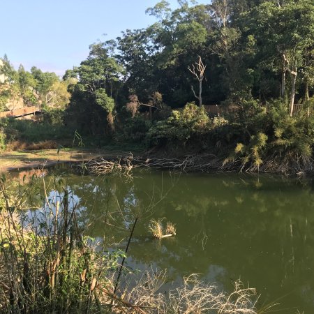 Tongjing Forest Trail
