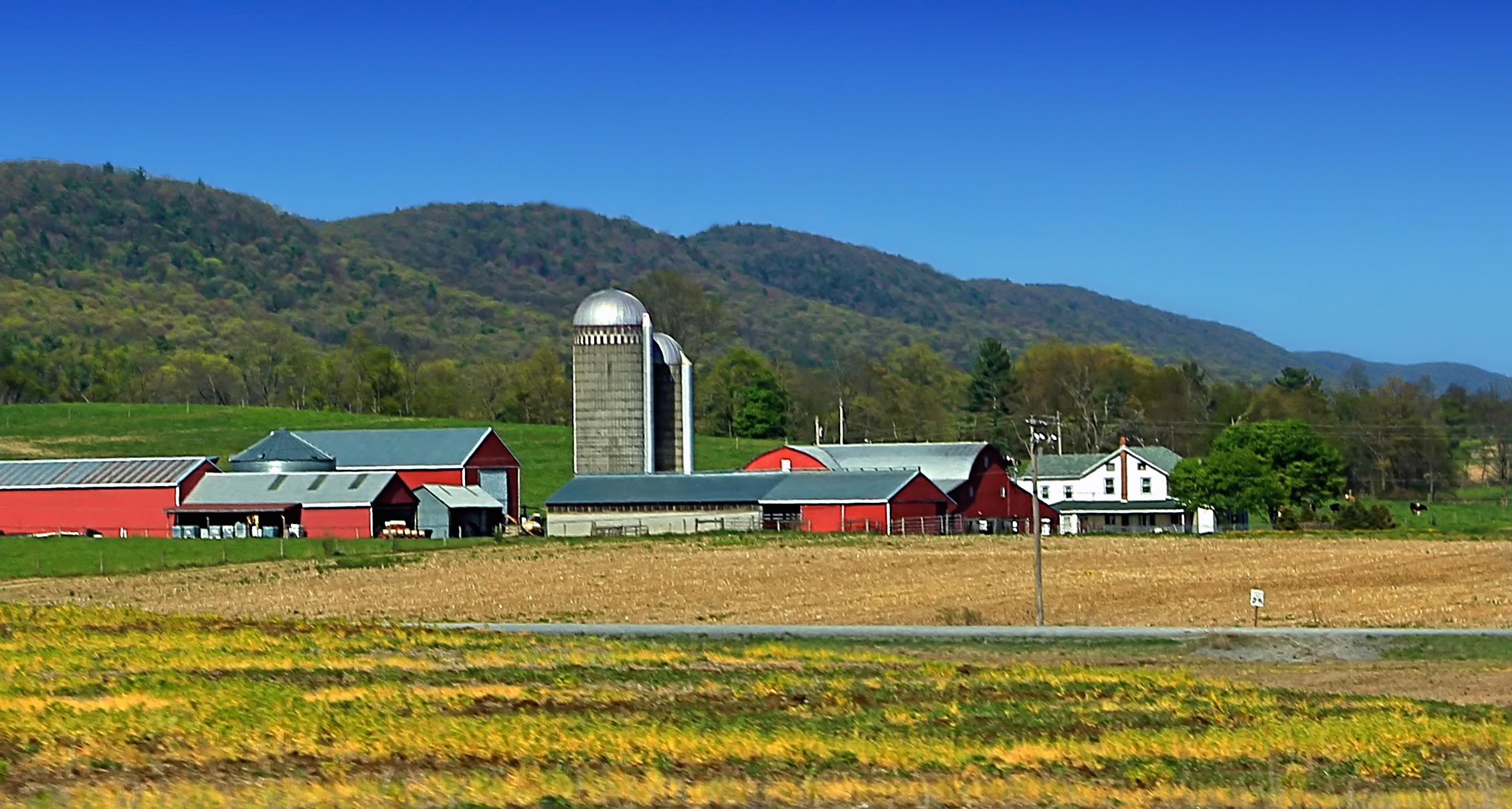 Circle Mountain Farm