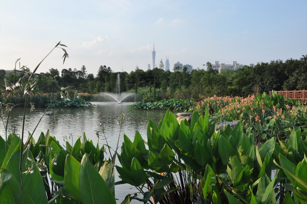 Hanbao Wetlands