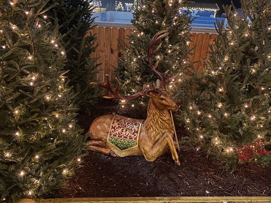 Winter Wonderfest