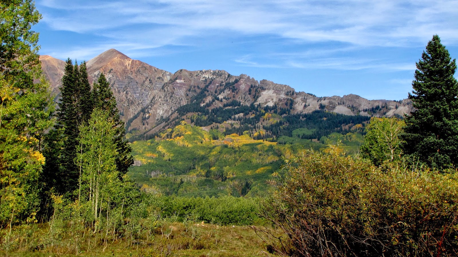 Gunnison National Forest