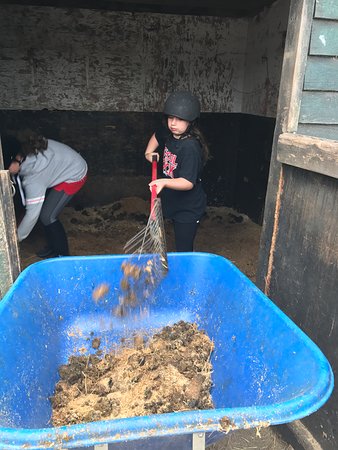 Barnfields Stables