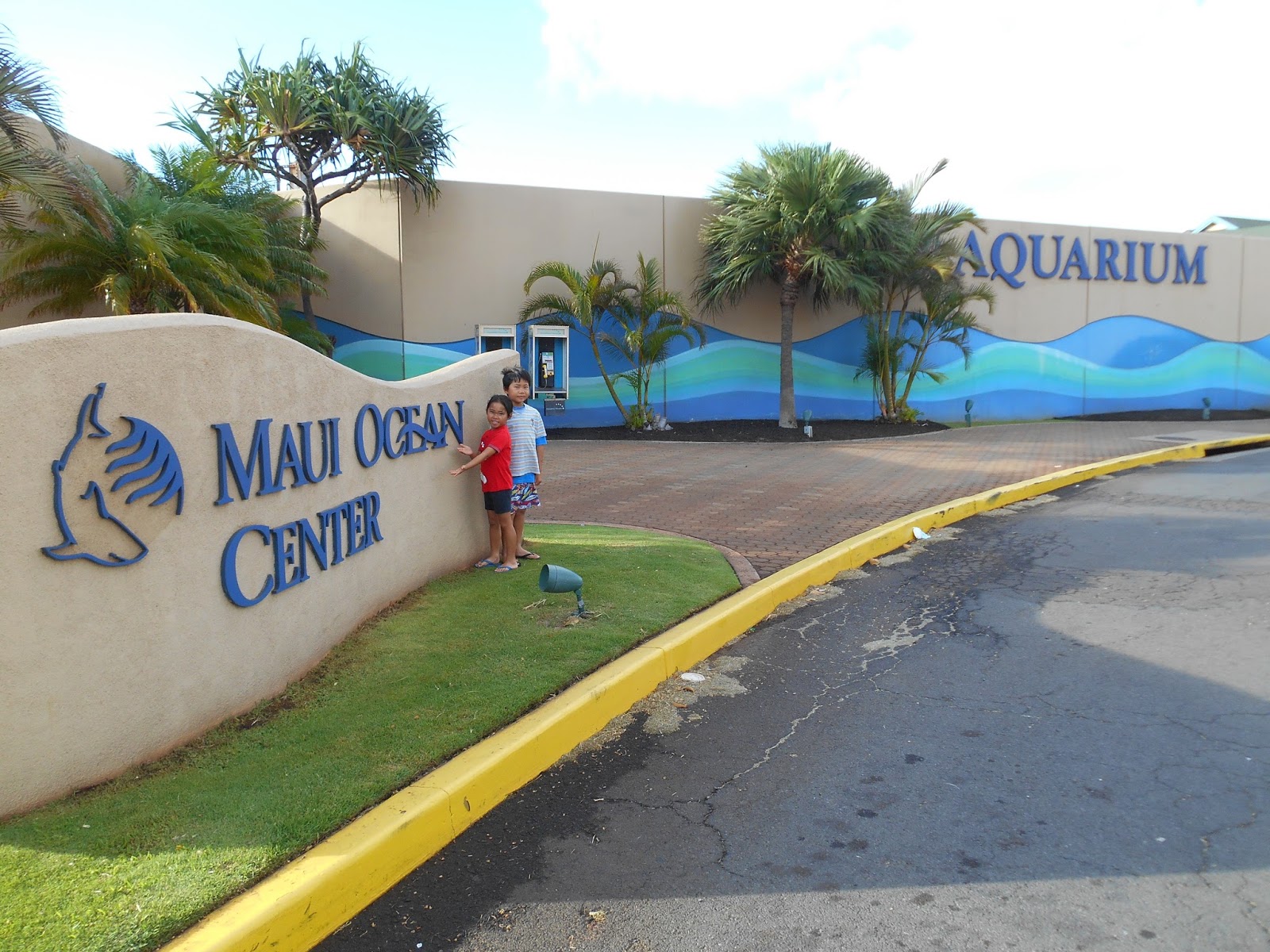 Maui No Ka Oi Taxi Services
