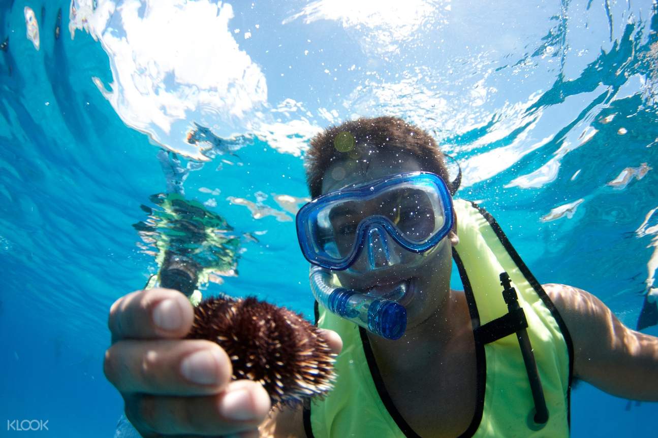 Waikiki Snorkel Rentals