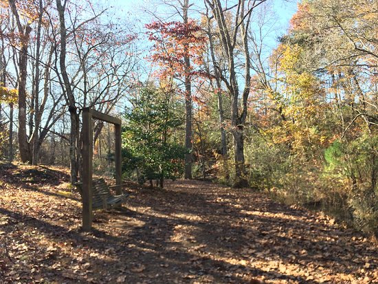 Cupid Fall Park