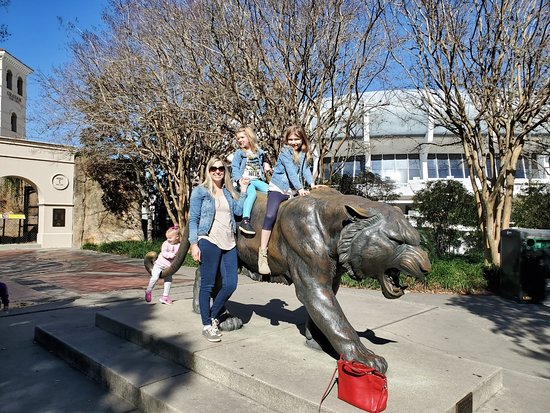 Mike the Tiger's Habitat