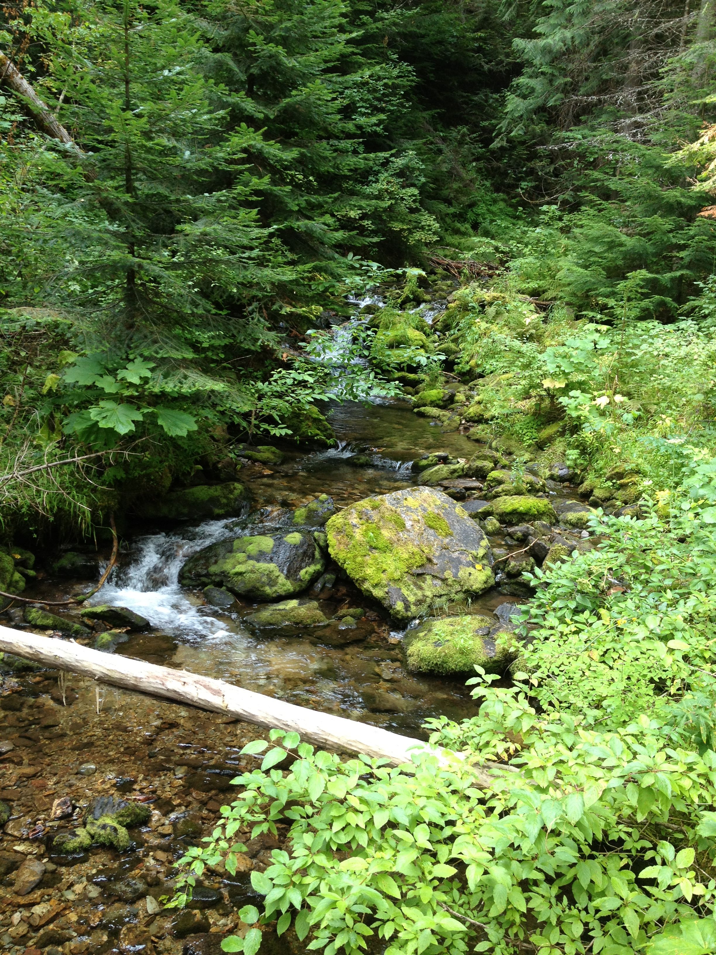 Pulaski Tunnel Trail