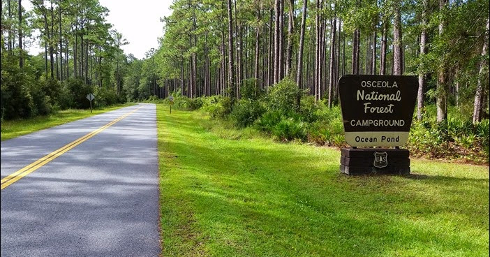 Osceola National Forest