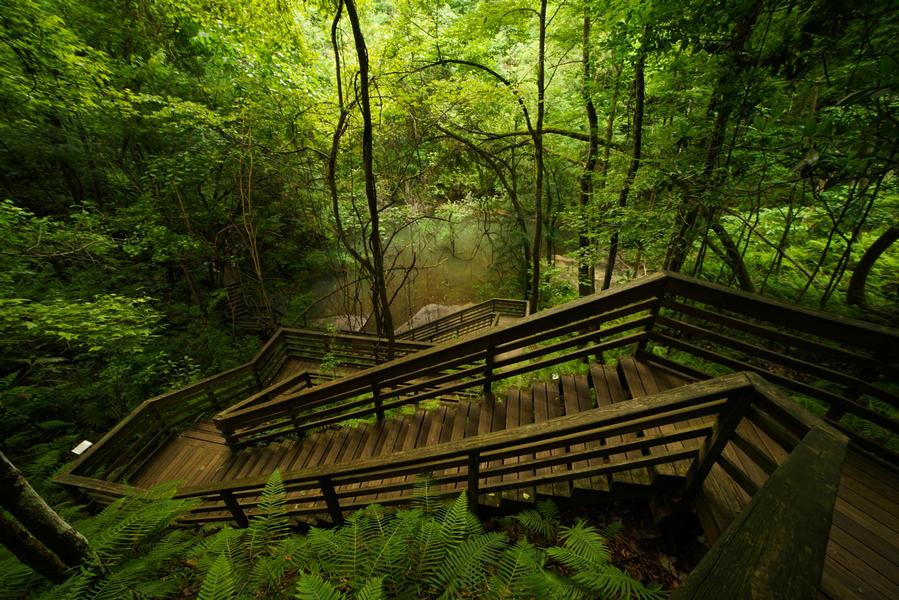 Devil's Millhopper Geological State Park