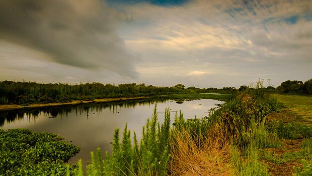 Paynes Prairie